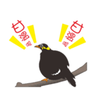 Fertilizer Grackle（個別スタンプ：4）