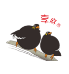 Fertilizer Grackle（個別スタンプ：16）