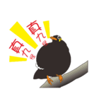 Fertilizer Grackle（個別スタンプ：22）