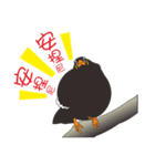 Fertilizer Grackle（個別スタンプ：38）