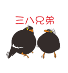 Fertilizer Grackle（個別スタンプ：39）