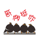 Fertilizer Grackle（個別スタンプ：40）