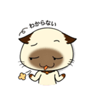 Wichienmas,  Happy Siamese Cat. (jp)（個別スタンプ：4）