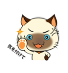 Wichienmas,  Happy Siamese Cat. (jp)（個別スタンプ：9）