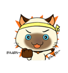 Wichienmas,  Happy Siamese Cat. (jp)（個別スタンプ：14）