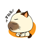 Wichienmas,  Happy Siamese Cat. (jp)（個別スタンプ：17）
