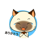 Wichienmas,  Happy Siamese Cat. (jp)（個別スタンプ：19）