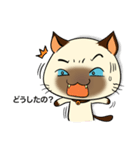 Wichienmas,  Happy Siamese Cat. (jp)（個別スタンプ：21）