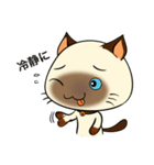 Wichienmas,  Happy Siamese Cat. (jp)（個別スタンプ：22）