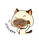 Wichienmas,  Happy Siamese Cat. (jp)（個別スタンプ：25）