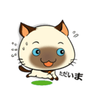 Wichienmas,  Happy Siamese Cat. (jp)（個別スタンプ：26）