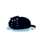 まんまるくろねこ（個別スタンプ：7）