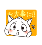 肉まん猫（日本語バージョン）（個別スタンプ：17）