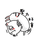 komyo  rabbit（個別スタンプ：40）