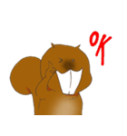 The overbite squirrel（個別スタンプ：2）