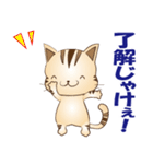 広島弁！野良猫のレオPART2（個別スタンプ：5）