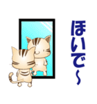 広島弁！野良猫のレオPART2（個別スタンプ：13）