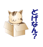 広島弁！野良猫のレオPART2（個別スタンプ：27）