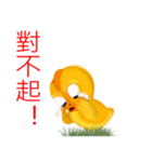 Chicken dance Shengping（個別スタンプ：16）