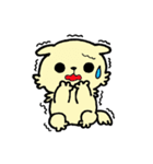 プードル犬めろのまいにち（個別スタンプ：5）