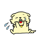プードル犬めろのまいにち（個別スタンプ：8）