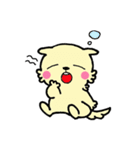 プードル犬めろのまいにち（個別スタンプ：11）