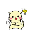 プードル犬めろのまいにち（個別スタンプ：12）
