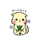 プードル犬めろのまいにち（個別スタンプ：32）
