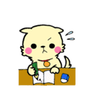 プードル犬めろのまいにち（個別スタンプ：37）