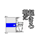 組織の猫（個別スタンプ：2）