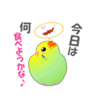 インコのおしゃべり（個別スタンプ：2）