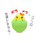 インコのおしゃべり（個別スタンプ：4）