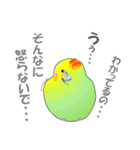 インコのおしゃべり（個別スタンプ：6）