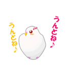 インコのおしゃべり（個別スタンプ：8）