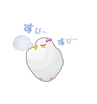 インコのおしゃべり（個別スタンプ：11）
