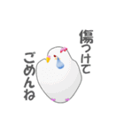 インコのおしゃべり（個別スタンプ：12）