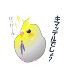 インコのおしゃべり（個別スタンプ：14）