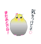 インコのおしゃべり（個別スタンプ：19）