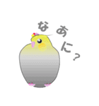インコのおしゃべり（個別スタンプ：20）