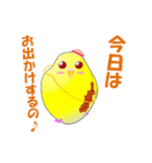 インコのおしゃべり（個別スタンプ：25）