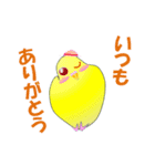 インコのおしゃべり（個別スタンプ：29）