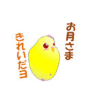 インコのおしゃべり（個別スタンプ：30）