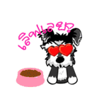 Mini Schnauzer（個別スタンプ：2）