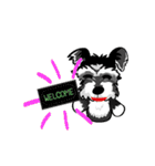 Mini Schnauzer（個別スタンプ：4）