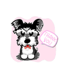 Mini Schnauzer（個別スタンプ：5）