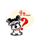 Mini Schnauzer（個別スタンプ：6）