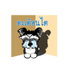 Mini Schnauzer（個別スタンプ：14）