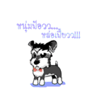 Mini Schnauzer（個別スタンプ：16）
