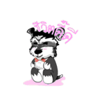Mini Schnauzer（個別スタンプ：17）