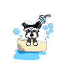 Mini Schnauzer（個別スタンプ：20）